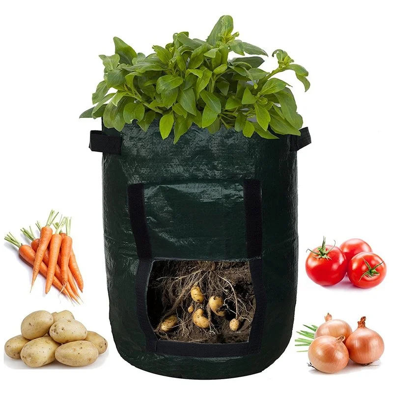 Tomatoes Grow Bag Fruits Vegetables Planter Pots Breathable Nonwoven Cloth with Strap Handles