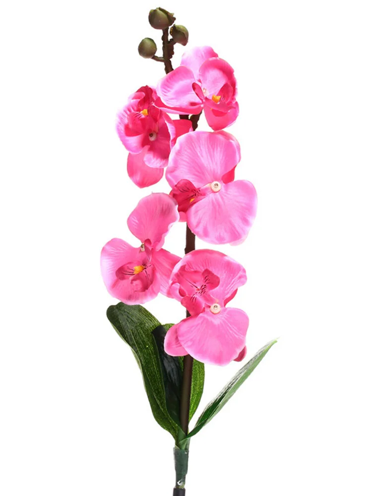 Solar Power Phalaenopsis Garden Stake Landscape Lamp Butterfly Orchid Outdoor Yard Light